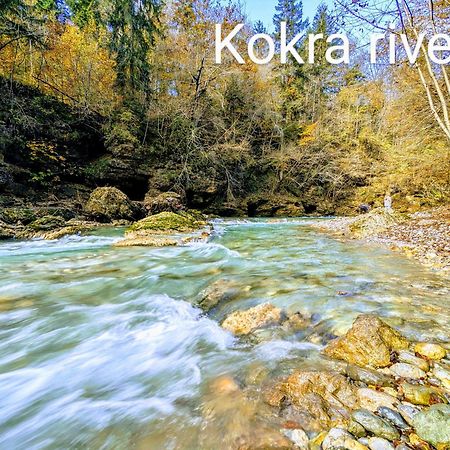 Domen'S Cozy Rentals Kranj Eksteriør billede